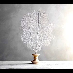 Pottery Barn Coral on a Stand